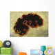 Glorious Flatworm Pseudobiceros Gloriosus Wall Decal