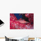 Longnose Hawkfish Hides Soft Wall Decal