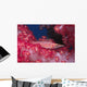 Longnose Hawkfish Hides Soft Wall Decal