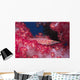 Longnose Hawkfish Hides Soft Wall Decal