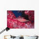 Longnose Hawkfish Hides Soft Wall Decal