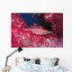 Longnose Hawkfish Hides Soft Wall Decal