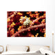 Pygmy Seahorse Hiding Sea Wall Decal