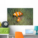 Pair Clown Anemonefish Magnificent Wall Decal