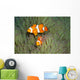 Pair Clown Anemonefish Magnificent Wall Decal