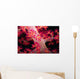 Close-up Soft Coral with Wall Decal