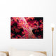 Close-up Soft Coral with Wall Decal