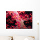 Close-up Soft Coral with Wall Decal