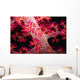 Close-up Soft Coral with Wall Decal