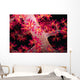 Close-up Soft Coral with Wall Decal