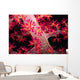Close-up Soft Coral with Wall Decal