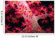 Close-up Soft Coral with Wall Decal