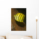 Eight-banded Butterflyfish Lembeh Strait Wall Decal