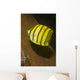 Eight-banded Butterflyfish Lembeh Strait Wall Decal
