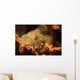 Tassled Scorpionfish Scorpaeopsis Oxycephala Wall Decal