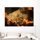 Tassled Scorpionfish Scorpaeopsis Oxycephala Wall Decal