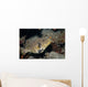 Map Puffer Arothron Mappa Wall Decal