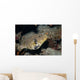 Map Puffer Arothron Mappa Wall Decal