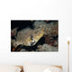 Map Puffer Arothron Mappa Wall Decal