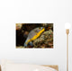 Blackspotted Puffer Arothron Nigropunctatus Wall Decal Design 1