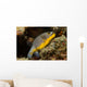 Blackspotted Puffer Arothron Nigropunctatus Wall Decal Design 1