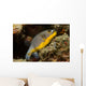 Blackspotted Puffer Arothron Nigropunctatus Wall Decal Design 1