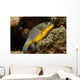 Blackspotted Puffer Arothron Nigropunctatus Wall Decal Design 1