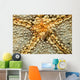 Starfish Shrimp Periclimenes Soror Wall Decal