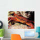 Swimming Crab Cronius Ruber Wall Decal