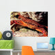 Swimming Crab Cronius Ruber Wall Decal