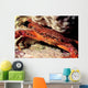 Swimming Crab Cronius Ruber Wall Decal