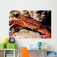 Swimming Crab Cronius Ruber Wall Decal