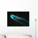 Box Sea Jelly Chironex Wall Decal Design 2