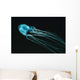 Box Sea Jelly Chironex Wall Decal Design 2