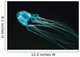 Box Sea Jelly Chironex Wall Decal Design 2
