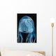 Box Sea Jelly Chironex Wall Decal Design 1