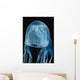 Box Sea Jelly Chironex Wall Decal Design 1