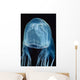 Box Sea Jelly Chironex Wall Decal Design 1