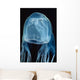 Box Sea Jelly Chironex Wall Decal Design 1