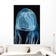 Box Sea Jelly Chironex Wall Decal Design 1
