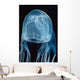 Box Sea Jelly Chironex Wall Decal Design 1