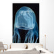Box Sea Jelly Chironex Wall Decal Design 1