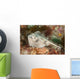 Female Cross-back Stingaree Urolophus Wall Decal