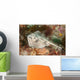 Female Cross-back Stingaree Urolophus Wall Decal