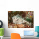 Female Cross-back Stingaree Urolophus Wall Decal