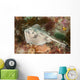 Female Cross-back Stingaree Urolophus Wall Decal