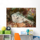 Female Cross-back Stingaree Urolophus Wall Decal