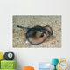 Sepia Stingray Urolophus Aurantiacus Wall Decal