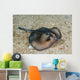 Sepia Stingray Urolophus Aurantiacus Wall Decal
