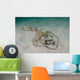Southern Fiddler Ray Sandy Wall Decal